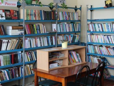 Николо-Березовская библиотека №8