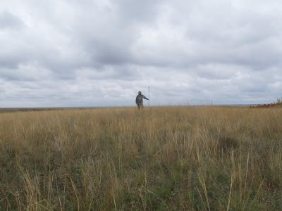 Курганный могильник 2