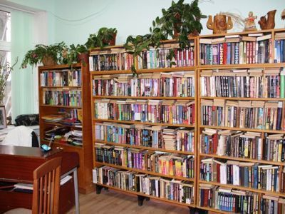 Мамяковская сельская библиотека