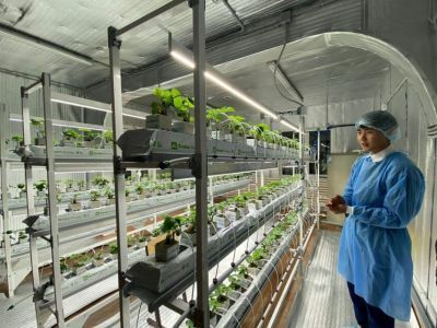 Ирина Петухова: «Ежегодно три выпускника Соттинской школы выбирают агровуз»