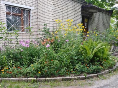 Дмитриевская сельская библиотека