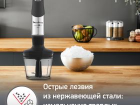Погружной блендер Moulinex InfinyForce Pro DD95MD10