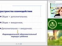 Организация внеурочной деятельности по химии как условие реализации новых образовательных стандартов