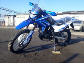 Мотоцикл MOTOLAND XR250 ENDURO (172FMM-5/PR250) (2021 Г.)