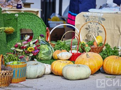 Аграрии Якутии представят достижения отрасли на «Золотой осени»