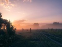 Исторический парк «Гардарика»