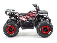 Квадроцикл MOTOLAND Wild 150