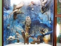 Даровской районный краеведческий музей