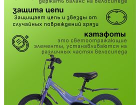 Детский велосипед Maxiscoo Jazz Стандарт Плюс 14, год 2024, цвет Синий
