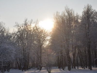 Парк с прудами бывшей усадьбы Дрожжино