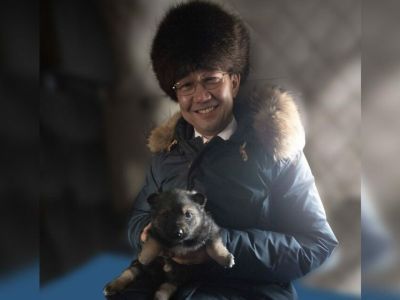 Глава Якутии рассказал о дальнейшей судьбе подаренного ему щенка