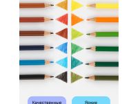 Набор карандашей цветных Гамма "Хобби. Лесной пейзаж" 12 цв.,заточен., ПВХ, европодвес