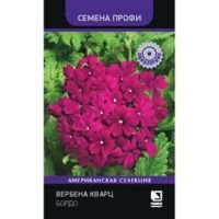Вербена Кварц Бордо (Семена Профи)