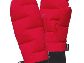 Рукавицы BASK