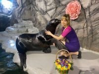 Воронежский океанариум