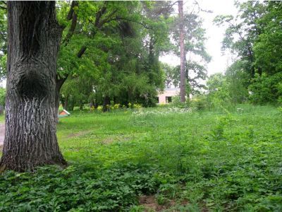 Усадебный парк