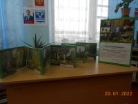 Ишимская сельская библиотека Чистоозерного района