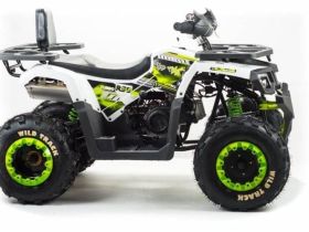 Квадроцикл MOTOLAND 200 Wild Track Lux ( Баланс. вал) (2021 Г.)