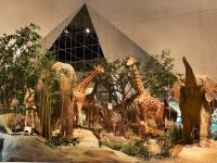 Государственный Дарвиновский музей