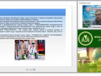 Международный вебинар "Промышленная безопасность"