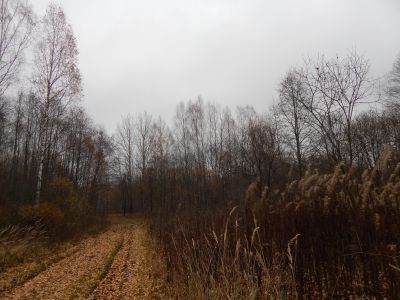 Родина Героя Советского Союза Богданова П.М., погибшего в январе 1945 г.