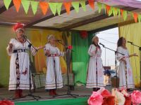 Сельский дом культуры д. Минино