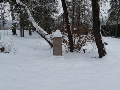 Памятник Пушкину Александру Сергеевичу в память пребывания его в селе Захарово в 1806-1810 гг.