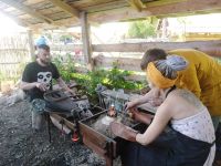 Центр исторического моделирования «Древний мир»