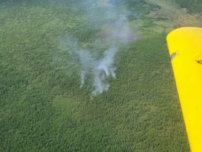 Обнаружен лесной пожар в Амгинском районе