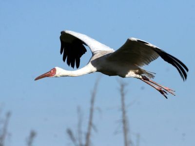 Правительство России создало национальный парк «Кыталык» в Якутии