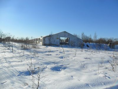 Скотный двор