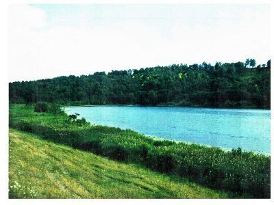 Священная роща