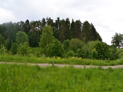 Усадебный парк имения Кочубеев