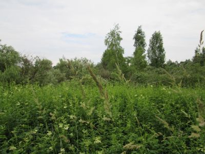 Памятное место, где в июле 1941 г. находилась переправа советских войск через р. Днепр