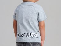 Джемпер детский трикотажный для мальчиков (футболка)