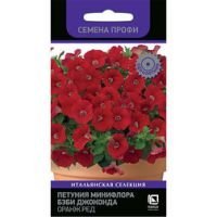 Петуния минифлора Бэби Джоконда Оранж Ред (Семена Профи)