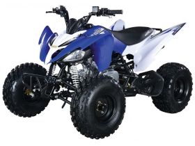 Квадроцикл ABM Scorpion 125M