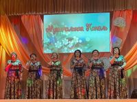 Районный Дом культуры села Елховка