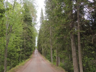 Дорога на Красный мыс ("Скалистый берег") от Гефсиманского скита
