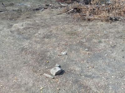 Памятник Т. Юзбекову