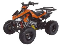 Квадроцикл ABM Scorpion 125A