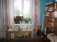 Бакшеевская сельская библиотека