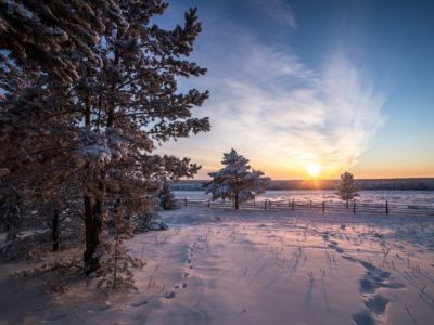 В Якутске земли лесного фонда начнут выделять под участки для многодетных семей