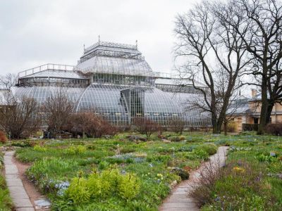 Ботанический сад Петра Великого