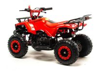 Квадроцикл MOTOLAND 50 Scorpion (2021 Г.)