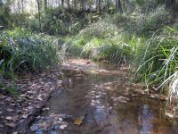 Парк «Кольцово»