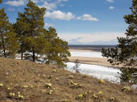 Весеннее пробуждение. Пешая экскурсия по Табагинскому Мысу
