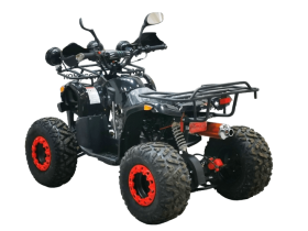 Квадроцикл BISON Kids 125 LD