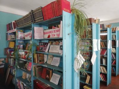 Библиотека с. Селезни