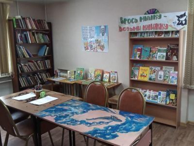 Библиотека семейного чтения с. Мильково
